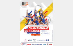 Championnat de France Ensembles Nationaux