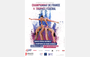 Championnat de France Ensemble Trophée Fédéral Mouilleron le Captif