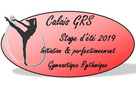 Stage d'été 2019