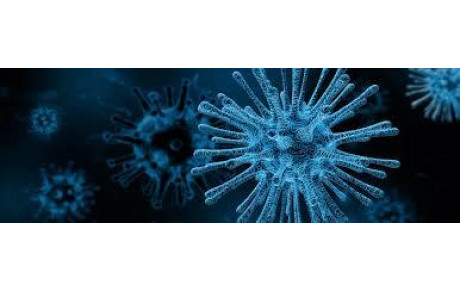 Consignes Coronavirus